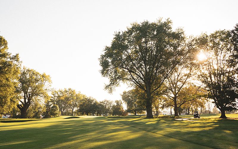 HOLE #15 Featured Image